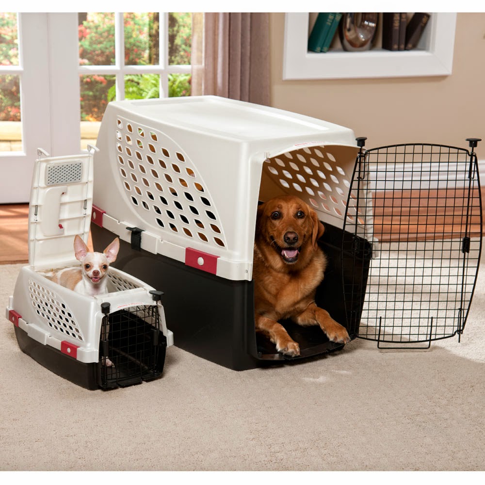 Pros and Cons of the Wire Dog Crate 01dogs