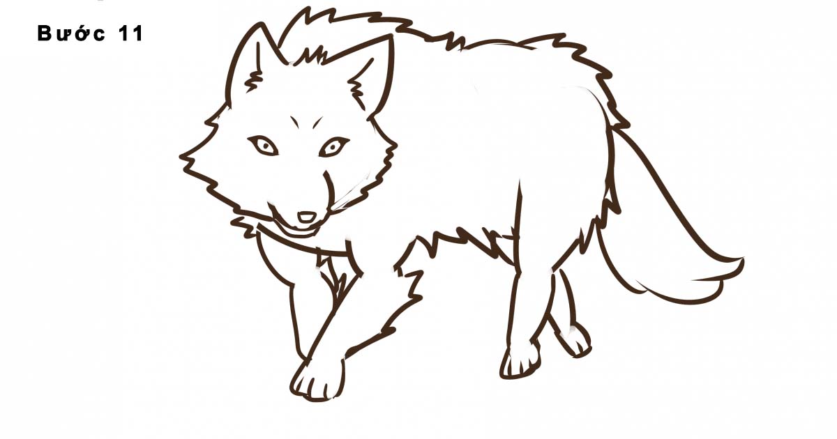 Hướng dẫn vẽ chó sói