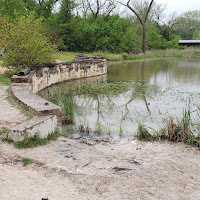 scenery beside a pond