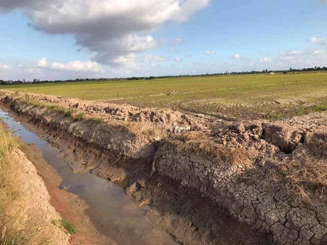 Thủy Tiên kêu gọi quyên góp cứu trợ đồng bào miền Tây đang gặp hạn mặn nghiêm trọng