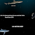 This Website Lets You to Scroll to the Bottom of the Ocean and Discover Deep Sea Animal Life