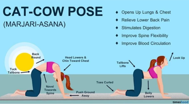 Benefits of Cow Pose
