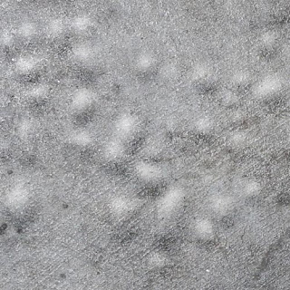 Blisters on Concrete Surface