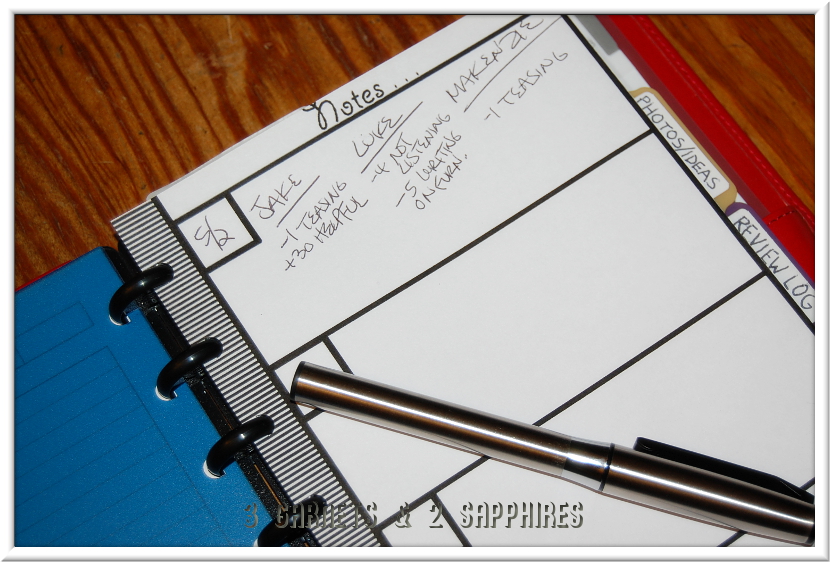 3 & 2 Sapphires How to Turn the Customizable "M by Staples Arc