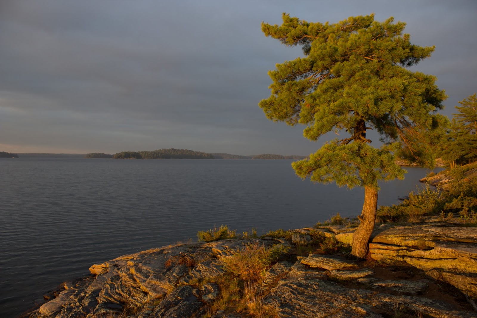 30,000 Islands of Bay The Largest Freshwater Archipelago