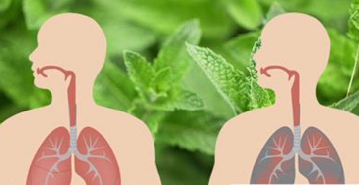 Here's How To Remove Mucus And Kill Lung Infections Naturally