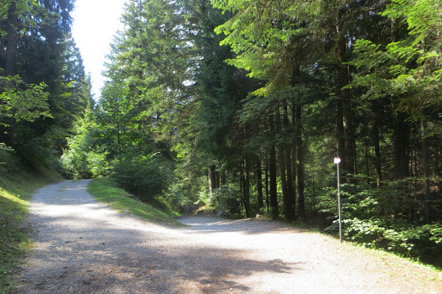 andalo molveno sentiero passeggiata