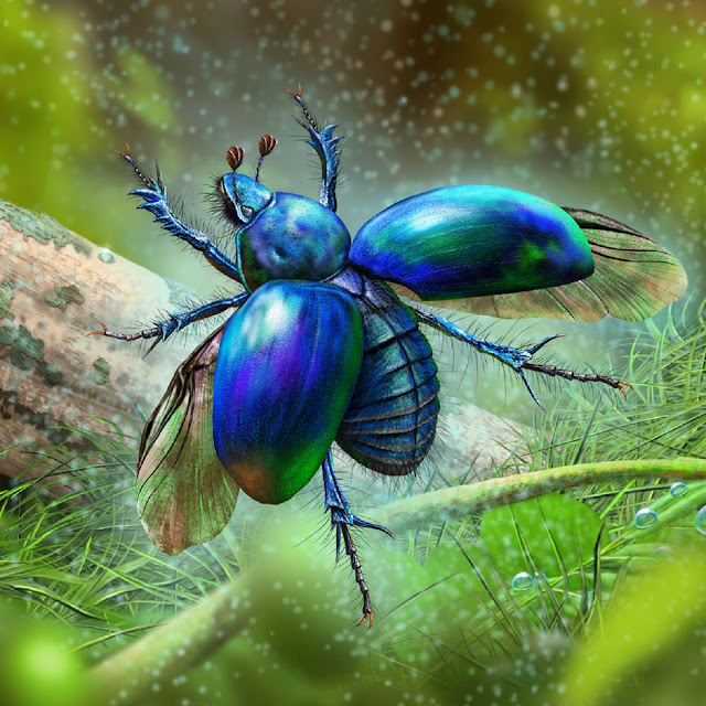 Spring dor beetle flying