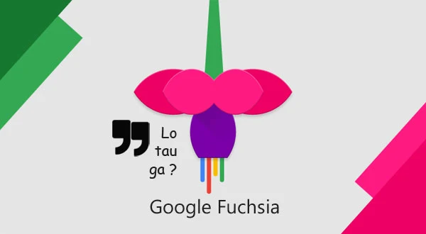 google fuchsia