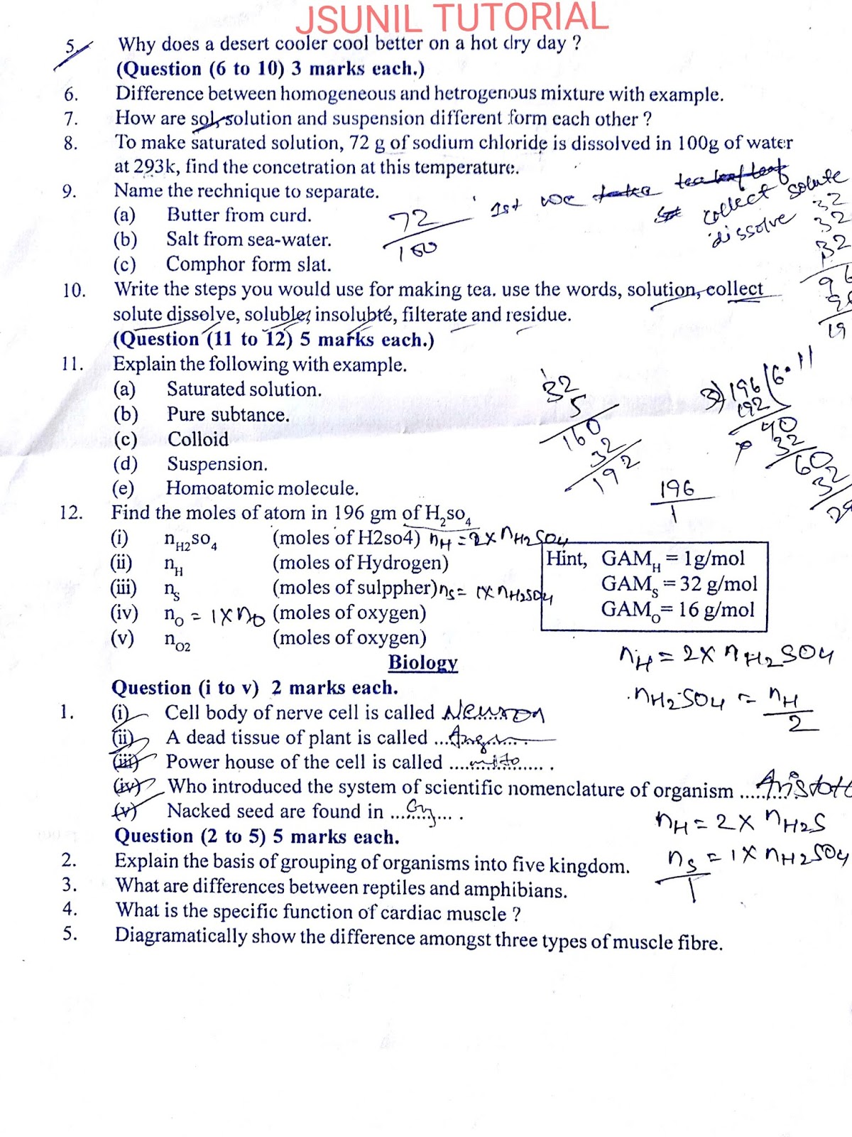 essay 1 question paper 9th class