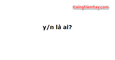 y/n là ai? Đừng bỏ qua bài viết đúng nhất nhé!