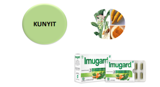 kunyit sebagai antioksidan dan memperbaiki sistem pencernaan