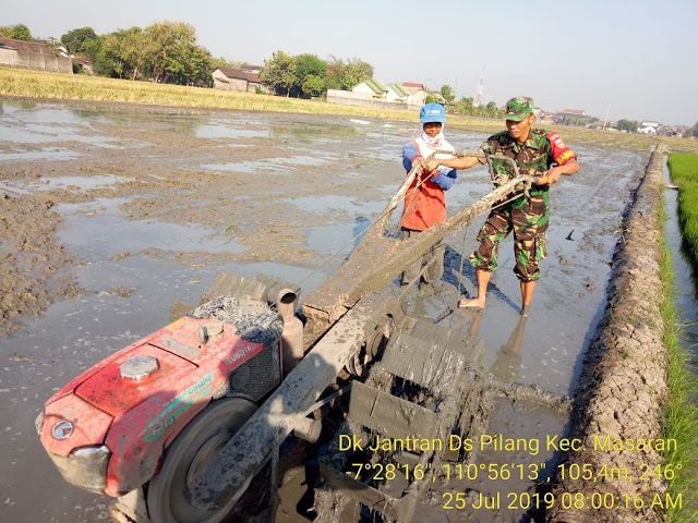 Babinsa Desa Pilang Masaran Dampingi Petani Bajak Sawah