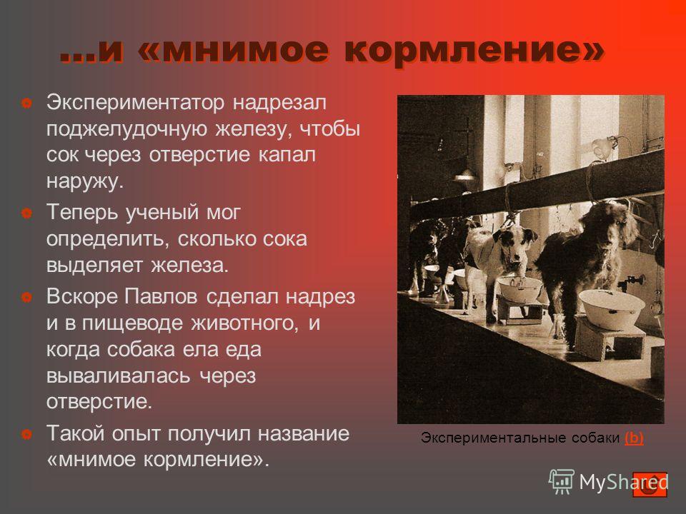 экспериментатор текст