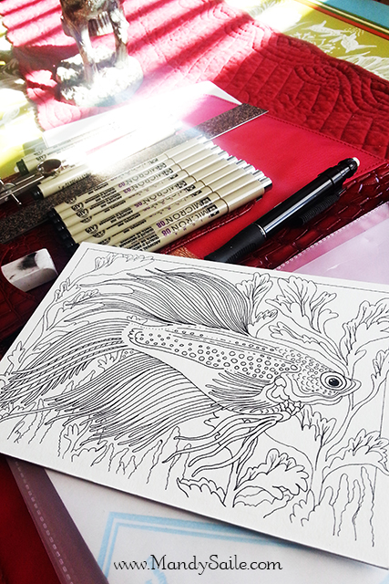 Mandy Saile, drawing, ink pen drawing, fish drawing, art