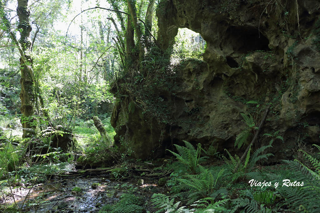 Cuevas de Andina, Asturias