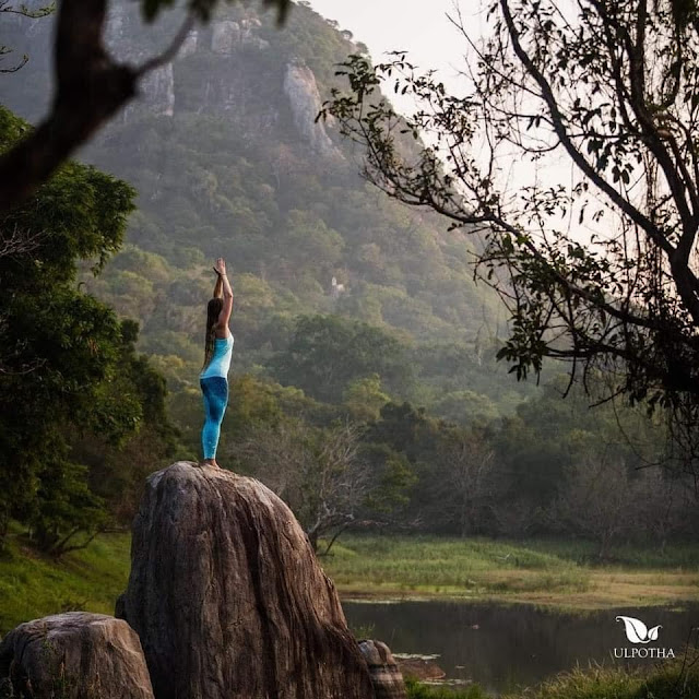 සිත් සනසන - උල්පොත යෝගා නිකේතනය 🙏🧘‍♂️🧘🏾🧘‍♀️🧘🏿‍♀️🌿🪴🍃 (Ulpotha) - Your Choice Way