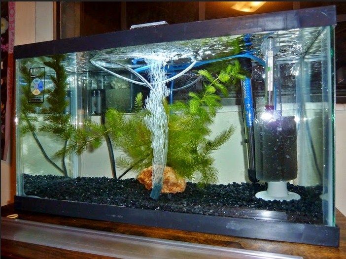 jenis dan harga aquarium yang populer dijual sekarang ini jenis dan harga aquarium yang populer dijual sekarang ini