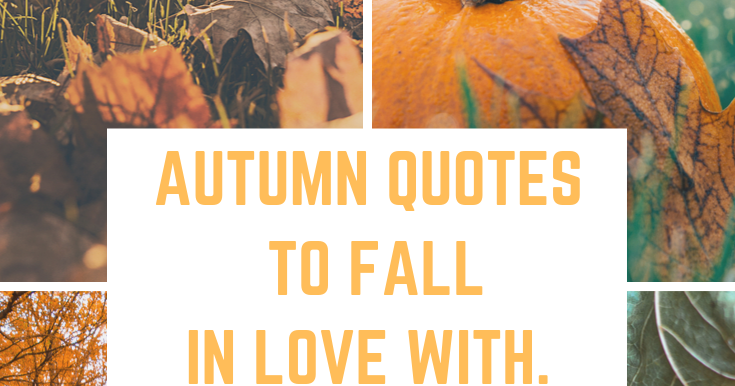 Autumn quotes to fall in love with. ~ THIS IS WHERE IT IS AT