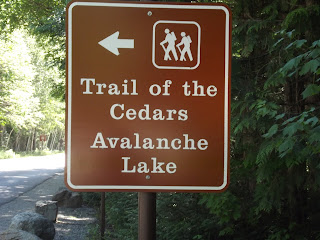 Glacier-National-Park-Trail-of-the-Cedars-Avalanche-Lake