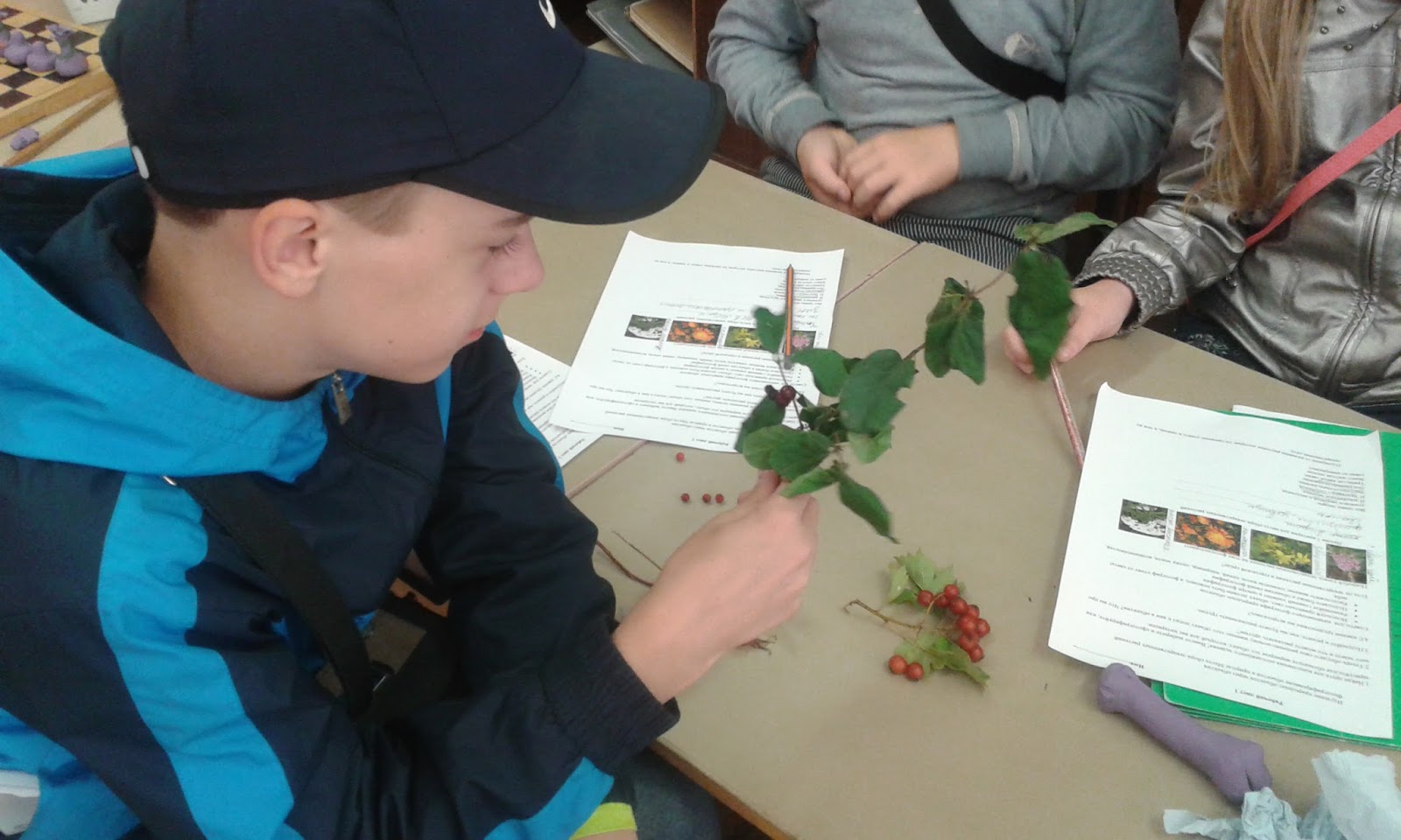 День природы в школе. Школа на природе. Ученики с растениями. Ученик изучает растение. Школьный урок на котором изучают растения.