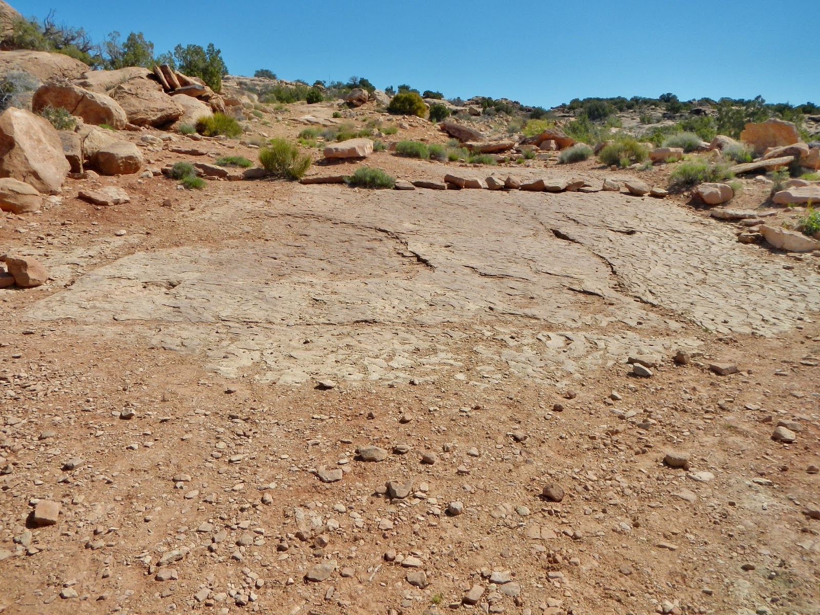 The Southwest Through Wide Brown Eyes: Copper Ridge Dinosaur Trackways ...