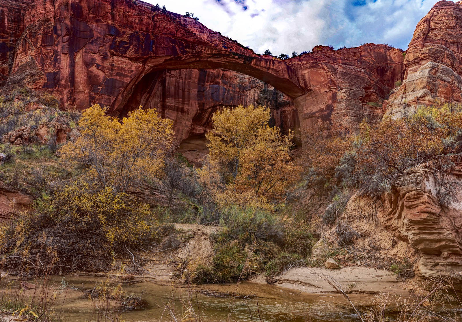 Earthline The American West Cream Cellar Road and Escalante Natural