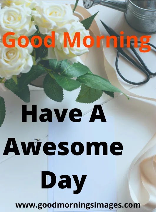 Good Morning Thursday Images and quotes Good Morning Thursday Images and quotes