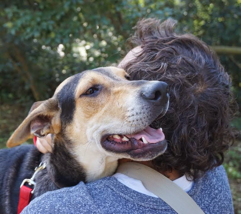 große_hunde_in_not — Mein Leben mit Hund