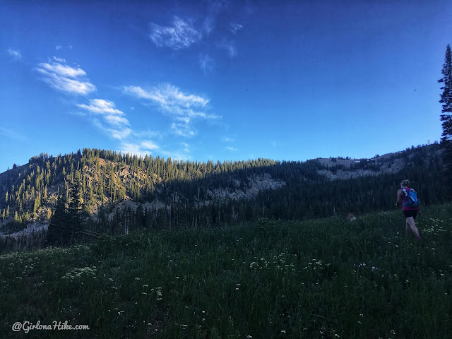 Hiking to Bloods & Lackawaxen Lakes