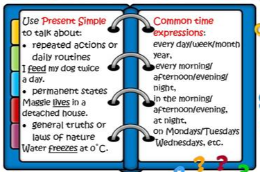 Common time expressions in simple present