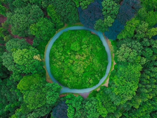 58 Great Environmental Blog Names 58 Great Environmental Blog Names