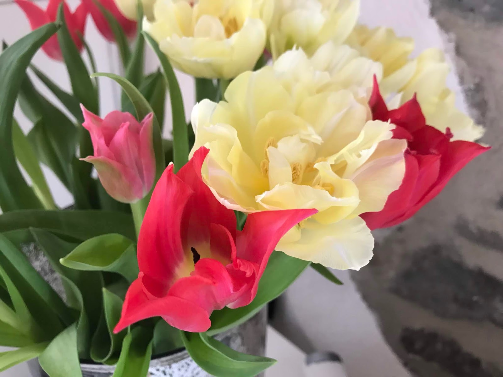 TeacupInTheGarden frühlingsdeko