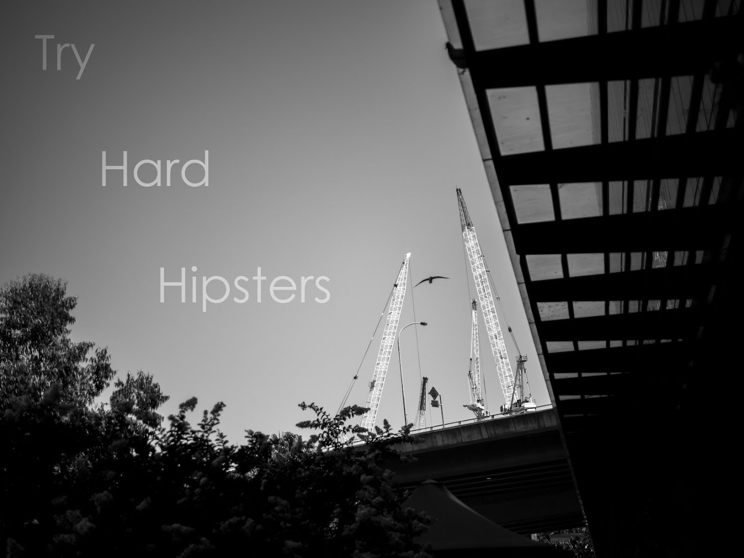 Try Hard Hipsters