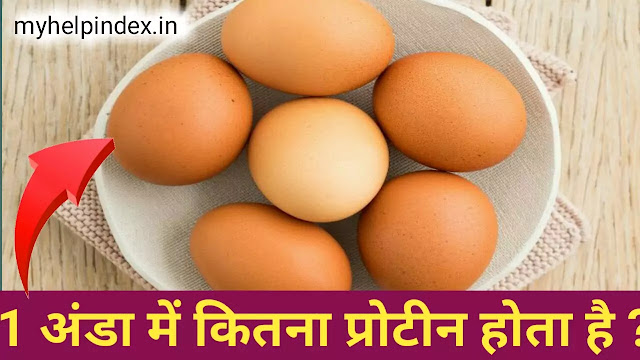 Ek ande me kitna protein hota hai | एक अंडा में कितना प्रोटीन होता है?