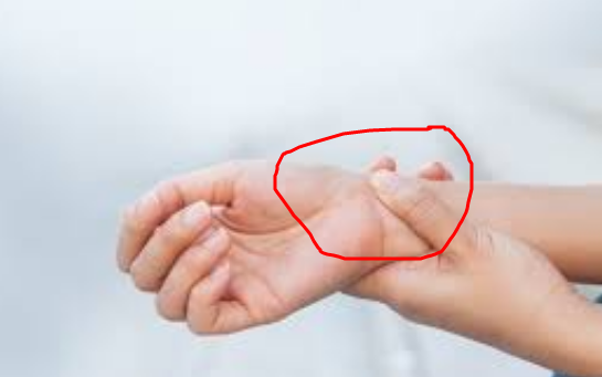 Kamus Arti Mimpi Bersin