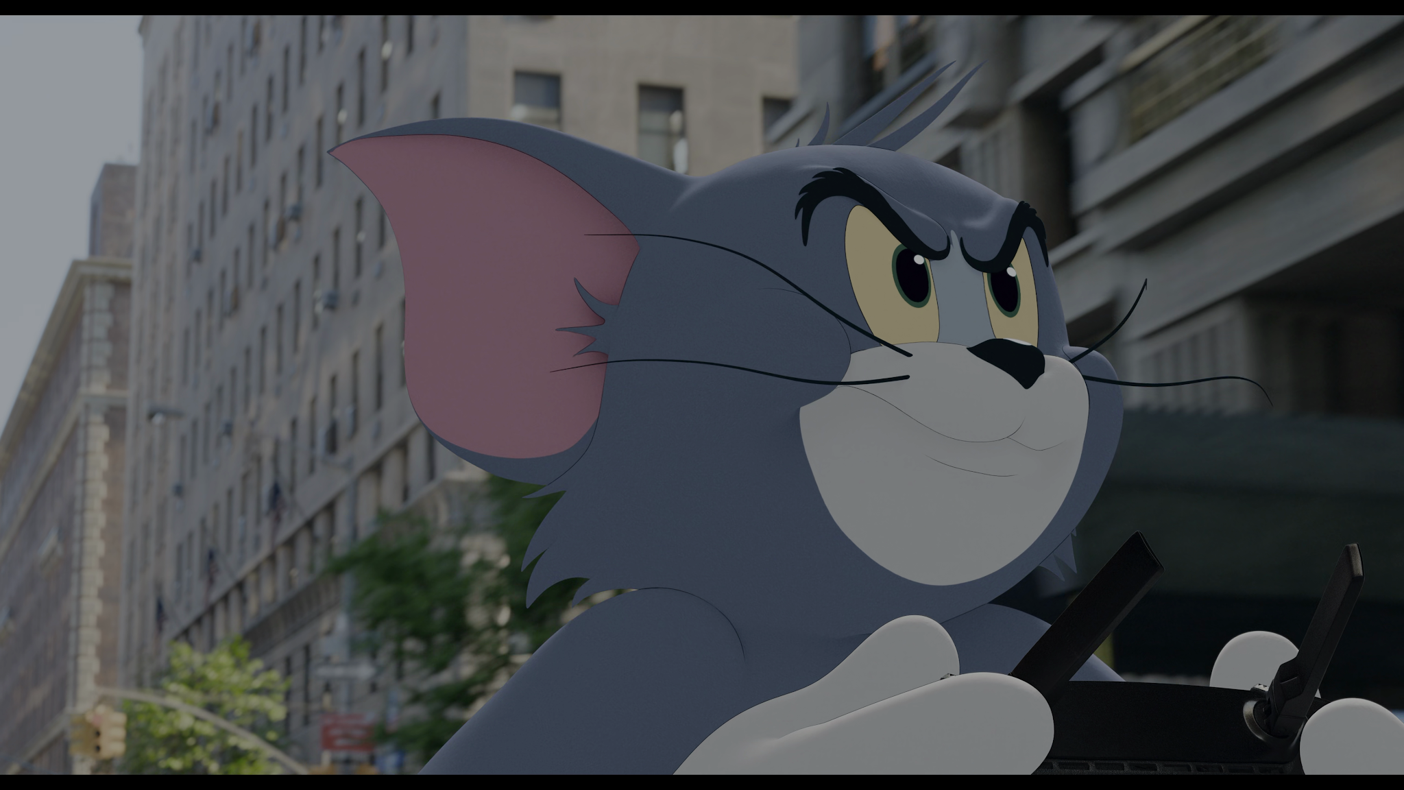mediafire tom and jerry mediafire tom and jerry