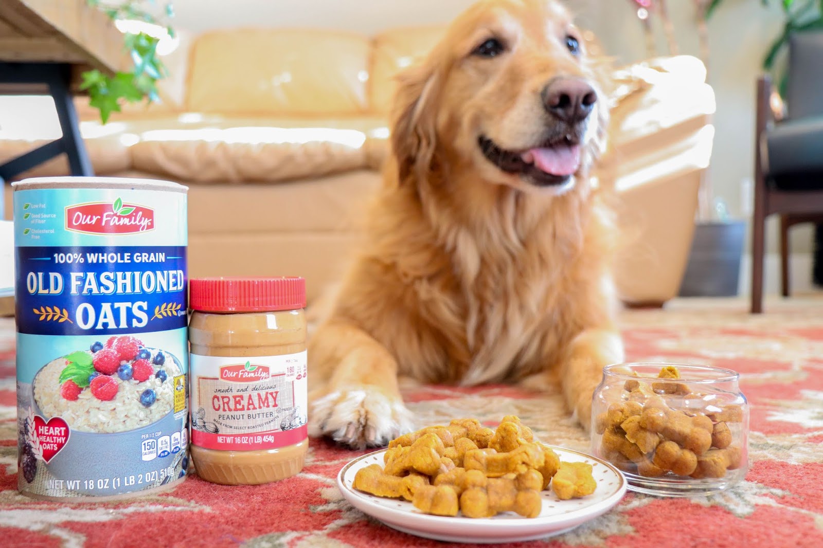 Homemade Cat & Dog Treats ft. Our Family / Oh, Hello Living
