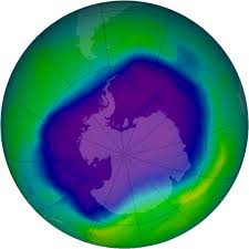 The Impact of Lockdown on the Environment The Impact of Lockdown on the Environment