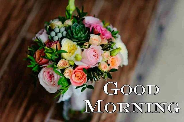 Good Morning flowers Image hd download and share with your friends and family members on facebook and whatsapp for wish very good morning