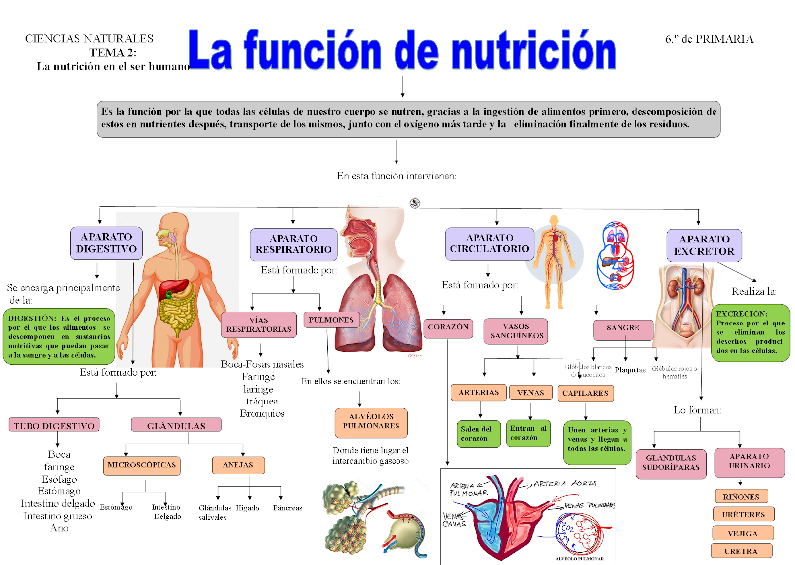 La Estación de las Ciencias noviembre 2019 La Estación de las Ciencias noviembre 2019