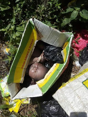 9 Photos: Newborn baby found abandoned at refuse dump site in Delta State