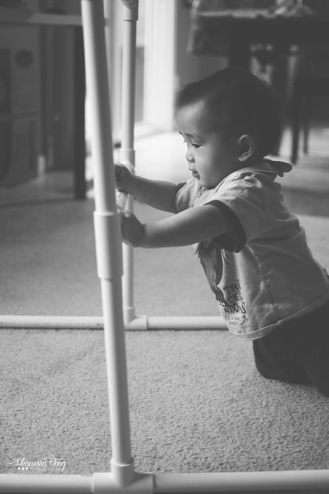 Phanessa's Crafts DIY Ladder Ball Stand