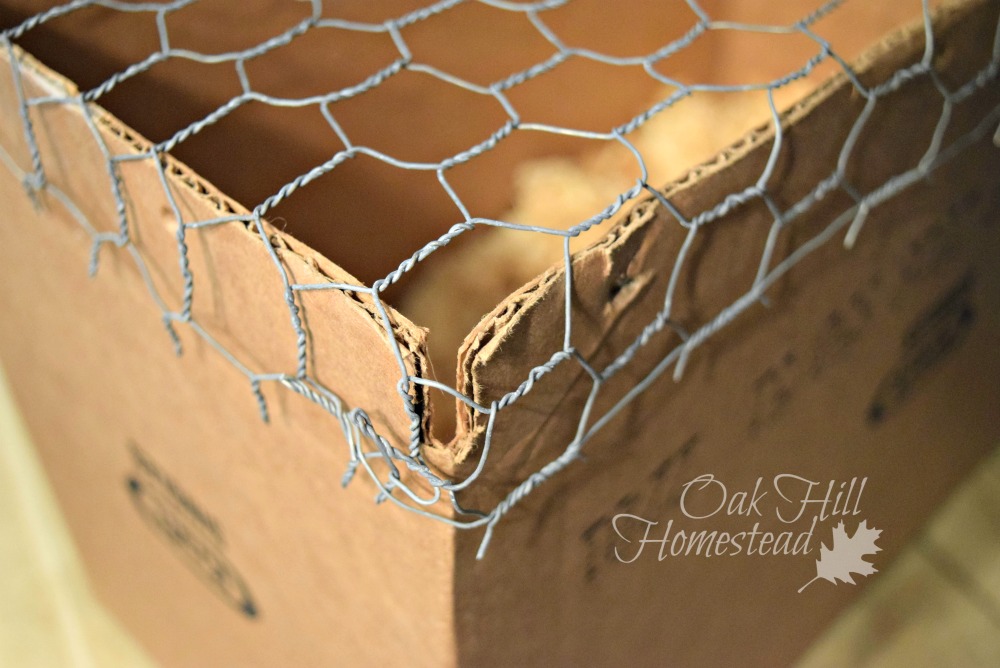 How to Make a Quick, Easy and Cheap Poultry Cage Oak Hill Homestead