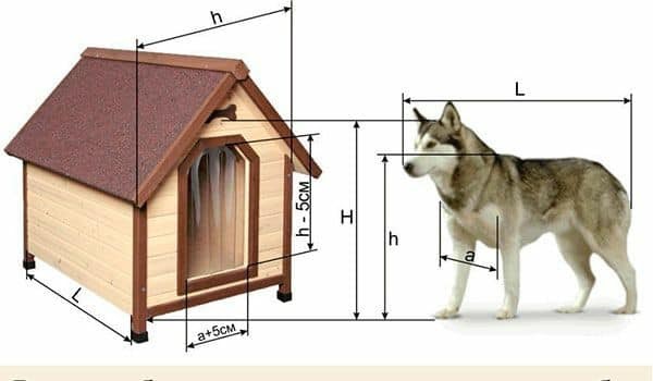 Minúsculo Conmemorativo Forzado Planos de casas para perros | Construccion y Manualidades : Hazlo tu mismo