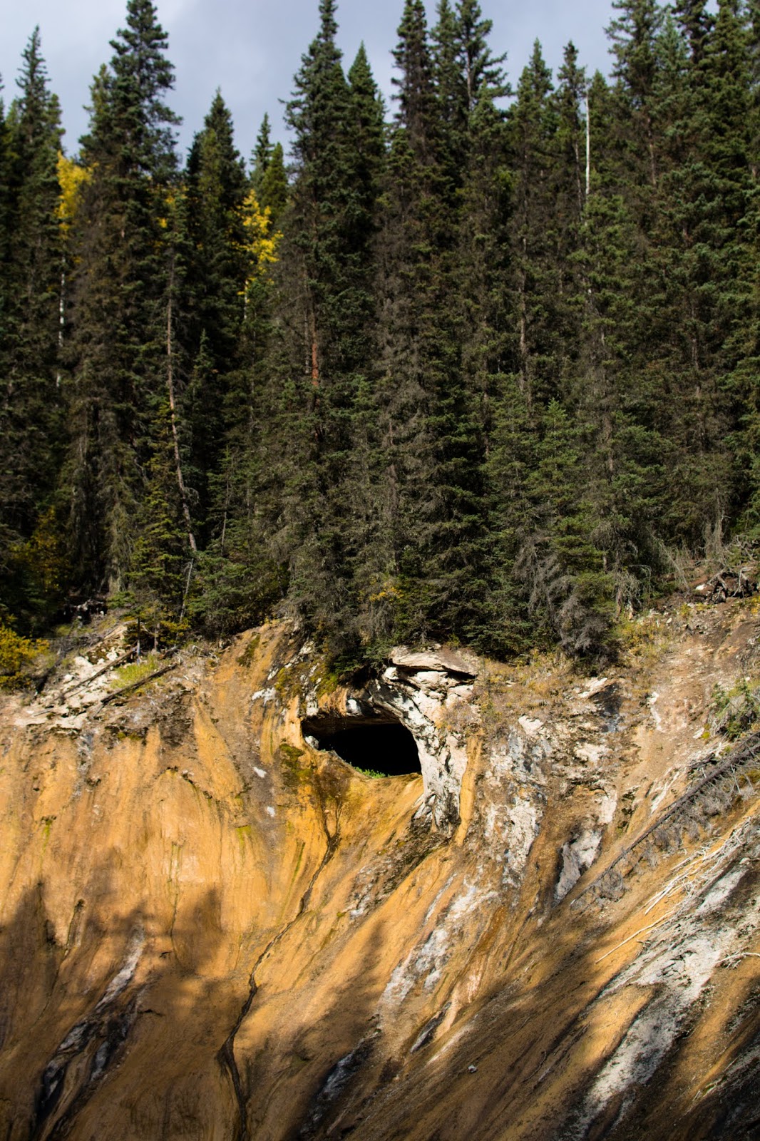 Johnston Canyon & Ink Pots (Banff National Park Hiking Expedition) H&Grass Styles