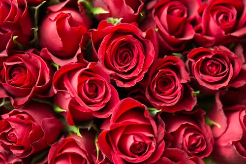 best anniversary quotes best anniversary quotes