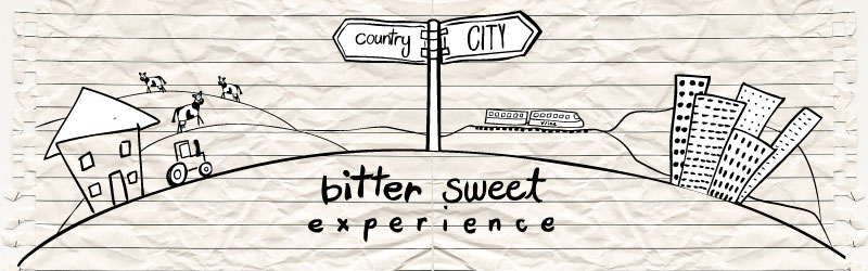 Bitter Sweet Experience