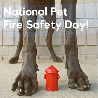 National Pet Fire Safety Day HD Pictures, Wallpapers