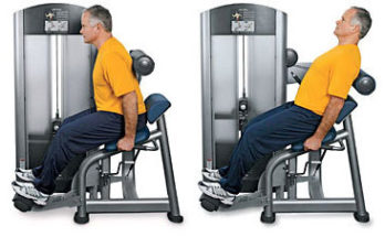 The Purpose of a Back Extension Exercise'